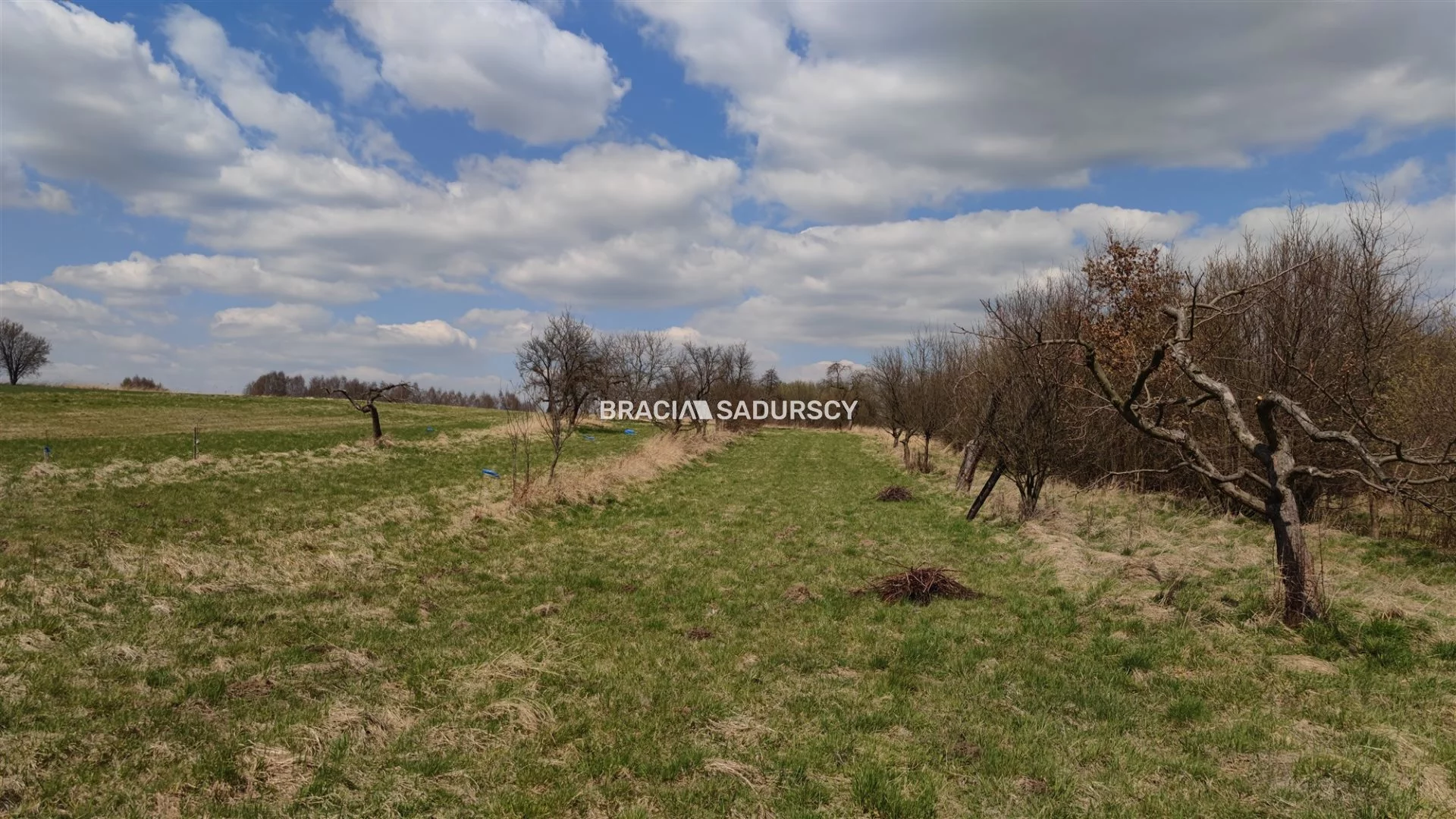 Działka 14 200,00 m², oferta nr , BS5-GS-286376-124, Liszki