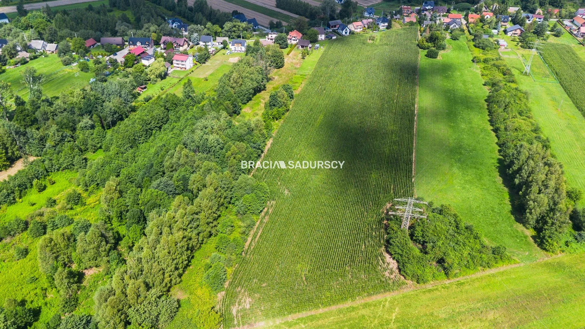 Działka 85 000,00 m², oferta nr , BS2-GS-311215-2, Liszki