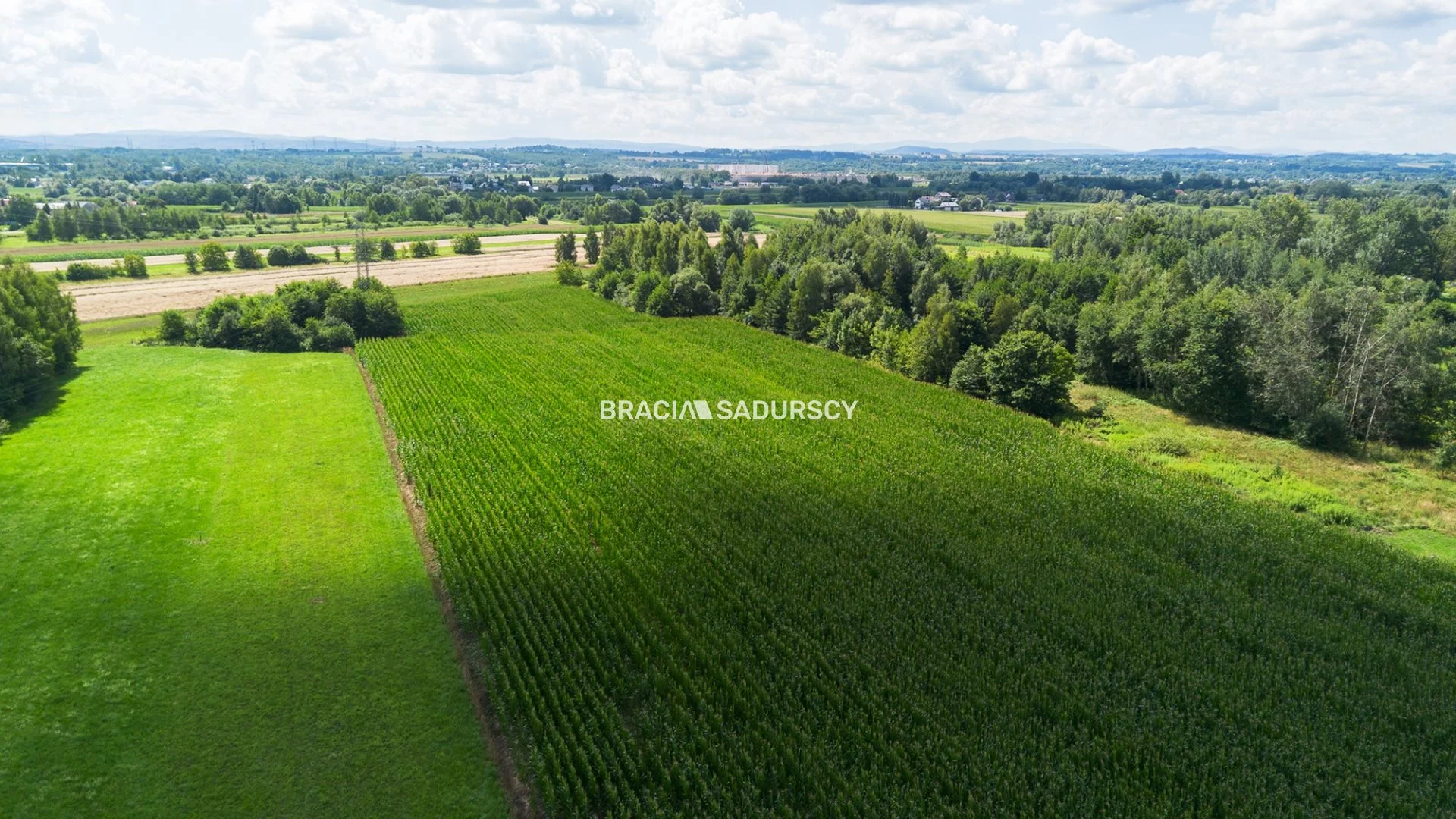 Działka 85 000,00 m², oferta nr , BS2-GS-311215-2, Liszki