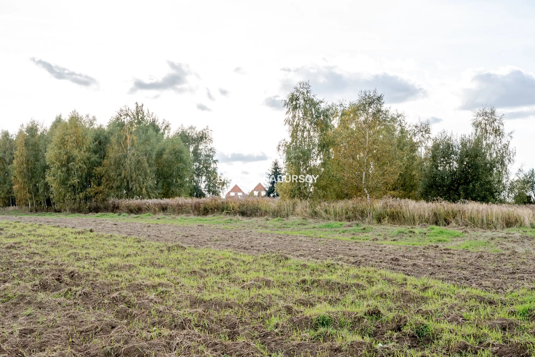 Działka 2 500,00 m², oferta nr , BS3-GS-312009, Liszki
