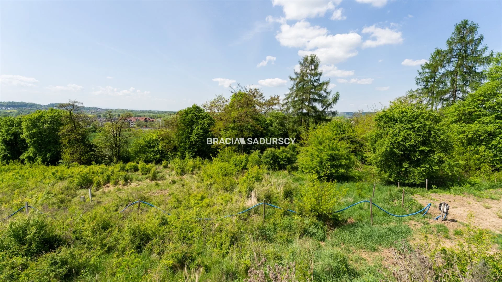 BS3-GS-308859 - zdjęcie nr 0