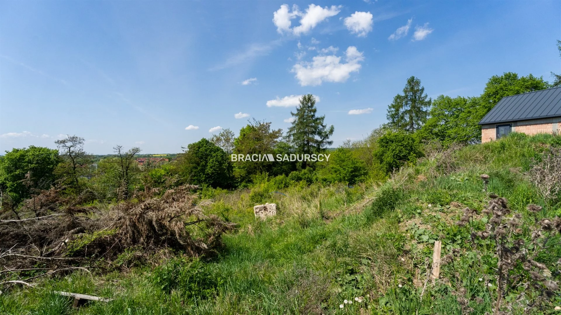 BS3-GS-308859 - zdjęcie nr 3