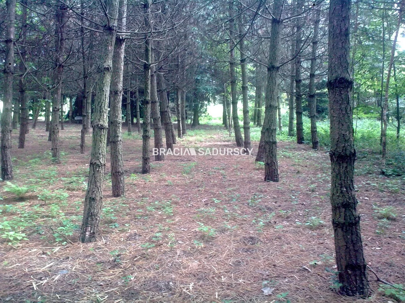 Działka 11 100,00 m², oferta nr , BS2-GS-292936-191, Maciejowice