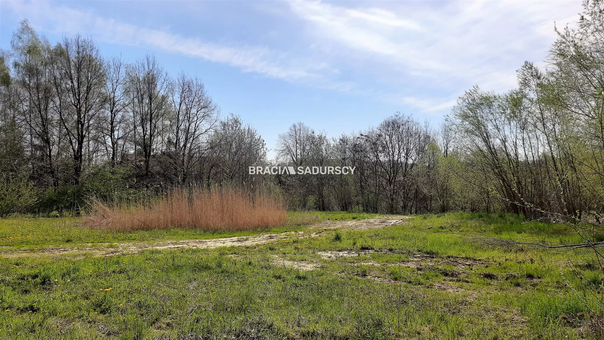 Działka 4 025,00 m², oferta nr , BS5-GS-294018-88, Mogilany, Maryjna