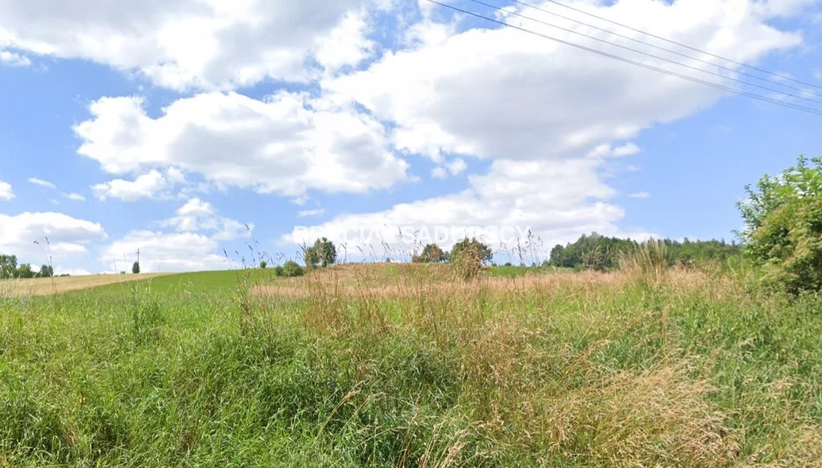 Działka 14 300,00 m², Michałowice, Sprzedaż