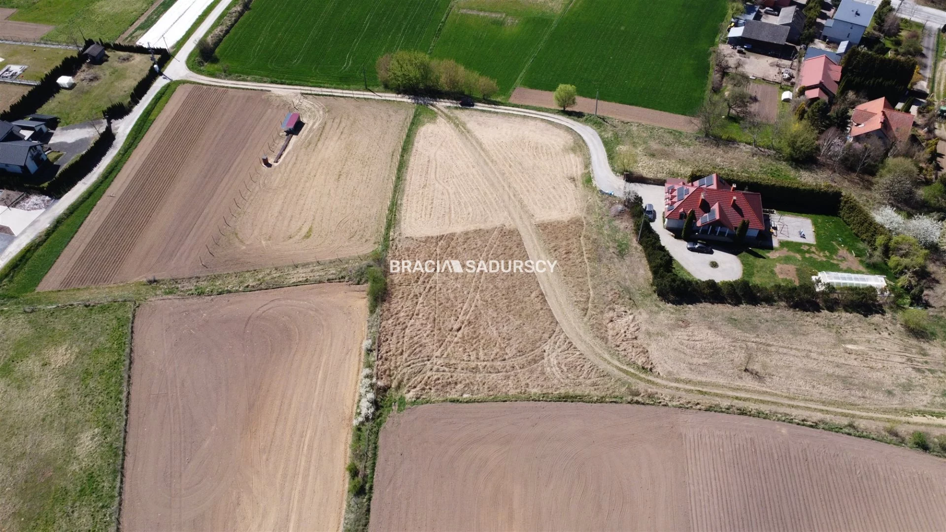 BS4-GS-309658-5 - zdjęcie nr 4