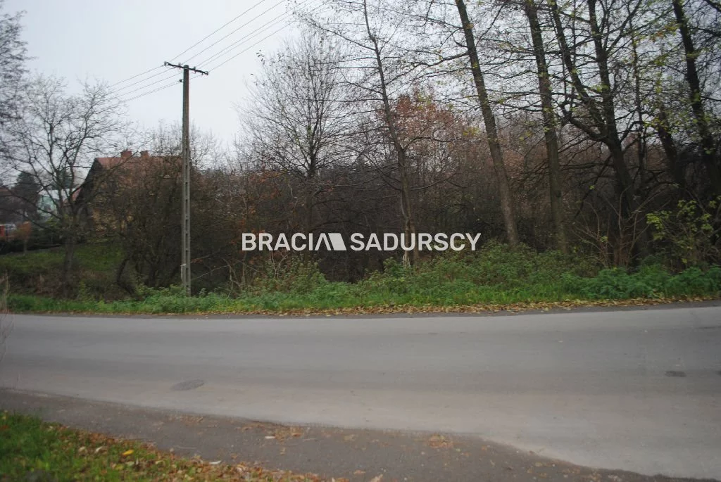 BS1-GS-309605-368 - zdjęcie nr 0