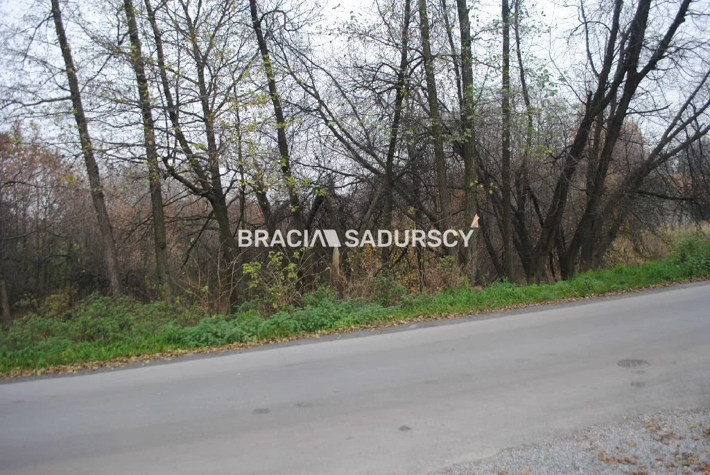 BS1-GS-309605-368 - zdjęcie nr 1