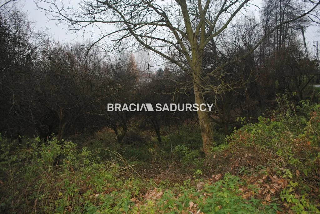 BS1-GS-309605-368 - zdjęcie nr 4