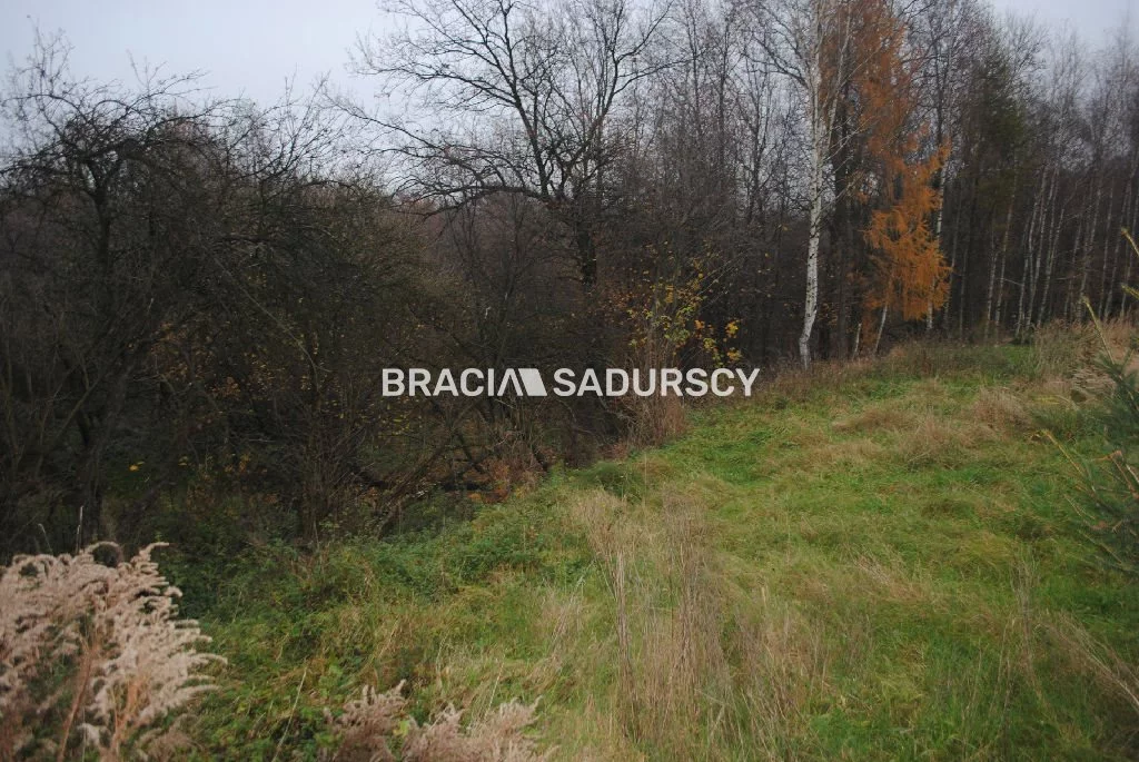 Działka 17 000,00 m², oferta nr , BS1-GS-309605-370, Mogilany