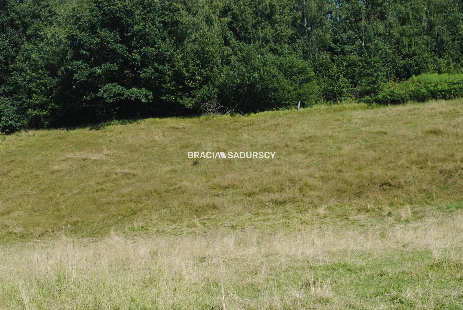 Działka 5 802,00 m², oferta nr , BS1-GS-305535-144, Mogilany