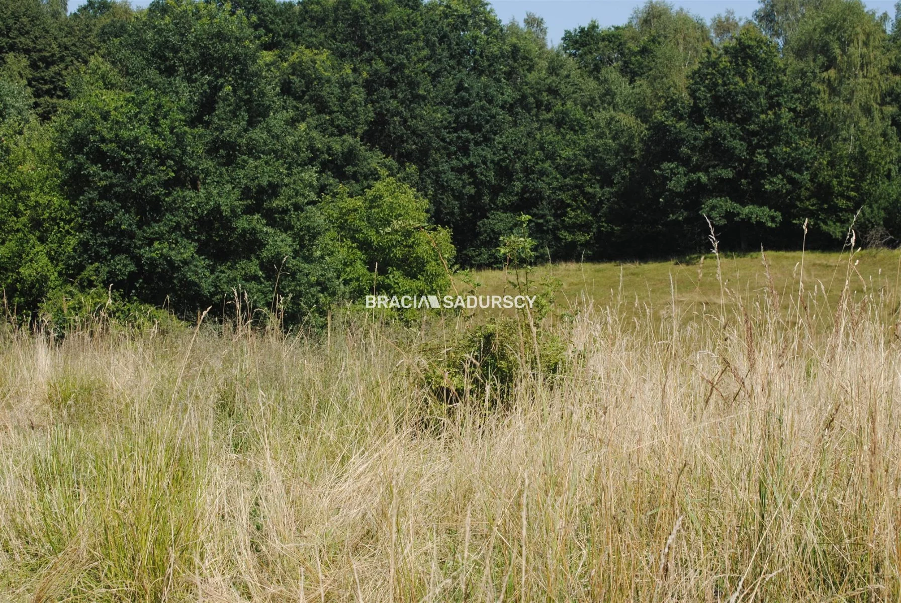 Działka 5 802,00 m², oferta nr , BS1-GS-305535-144, Mogilany