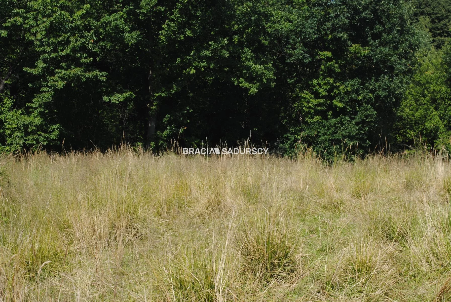 Działka 5 802,00 m², oferta nr , BS1-GS-305535-144, Mogilany