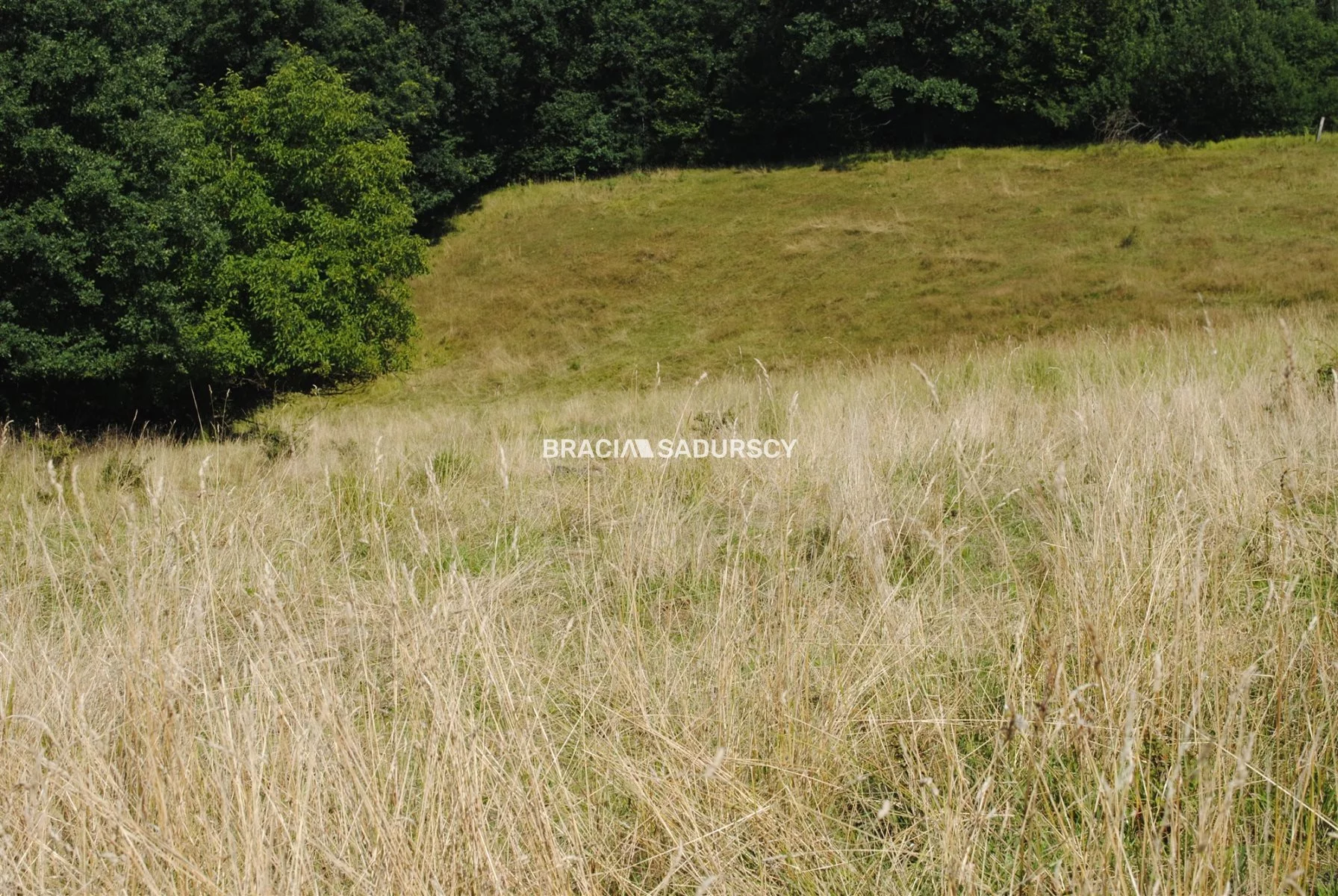 Działka 2 402,00 m², oferta nr , BS1-GS-309612-144, Mogilany