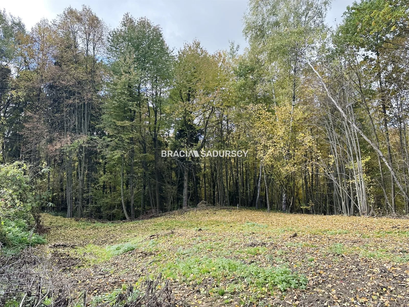 Działka 1 199,00 m², oferta nr , BS5-GS-312517, Mogilany