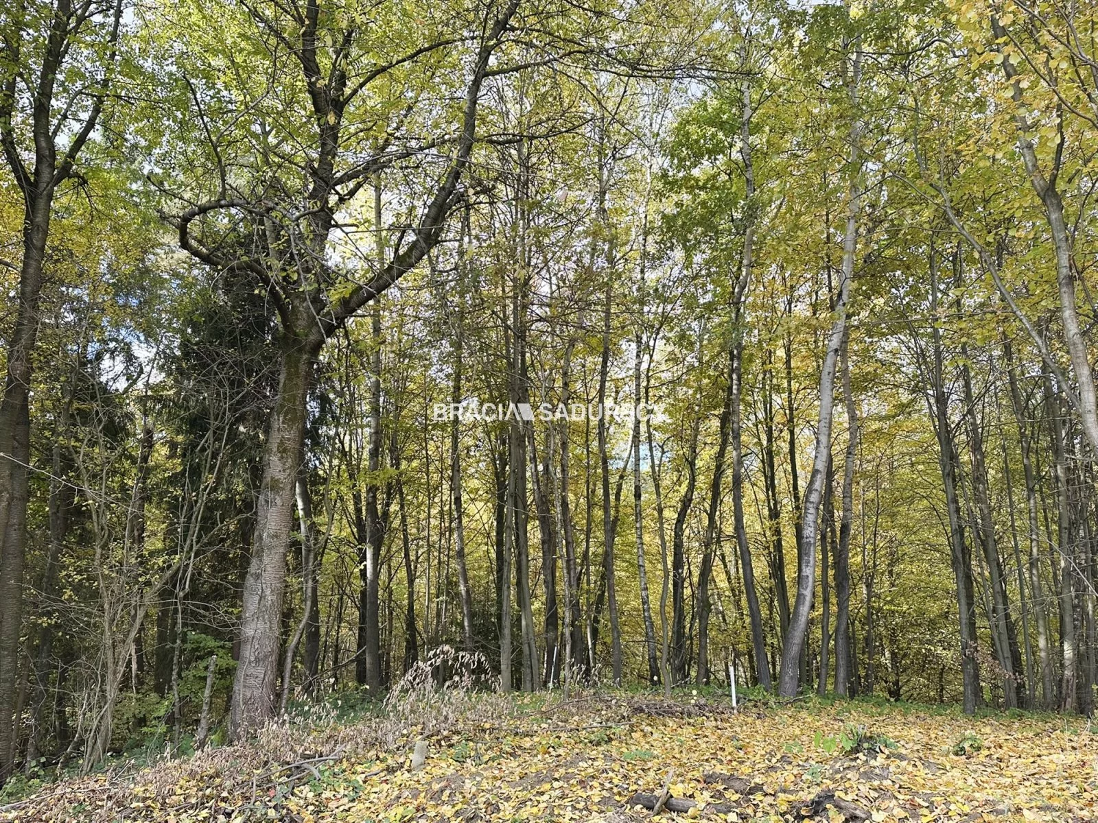 Działka 1 199,00 m², oferta nr , BS5-GS-312517, Mogilany