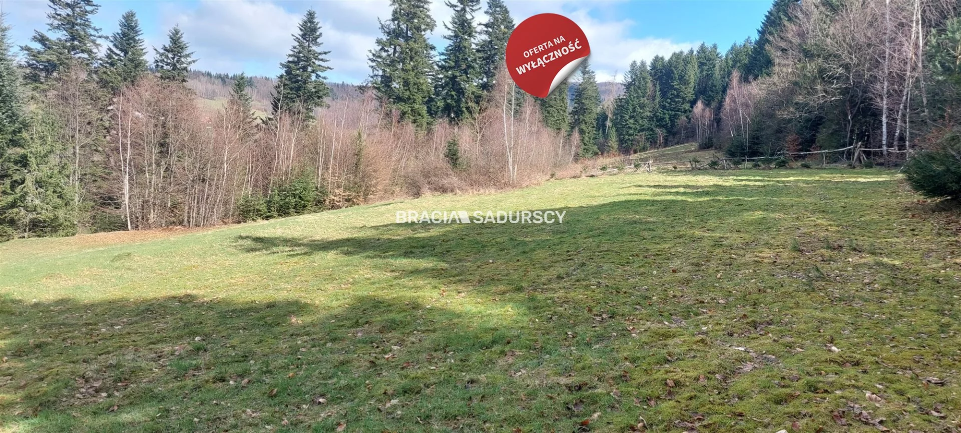 Działka 8 000,00 m², oferta nr , BS2-GS-303725-9, Myślenice-idx