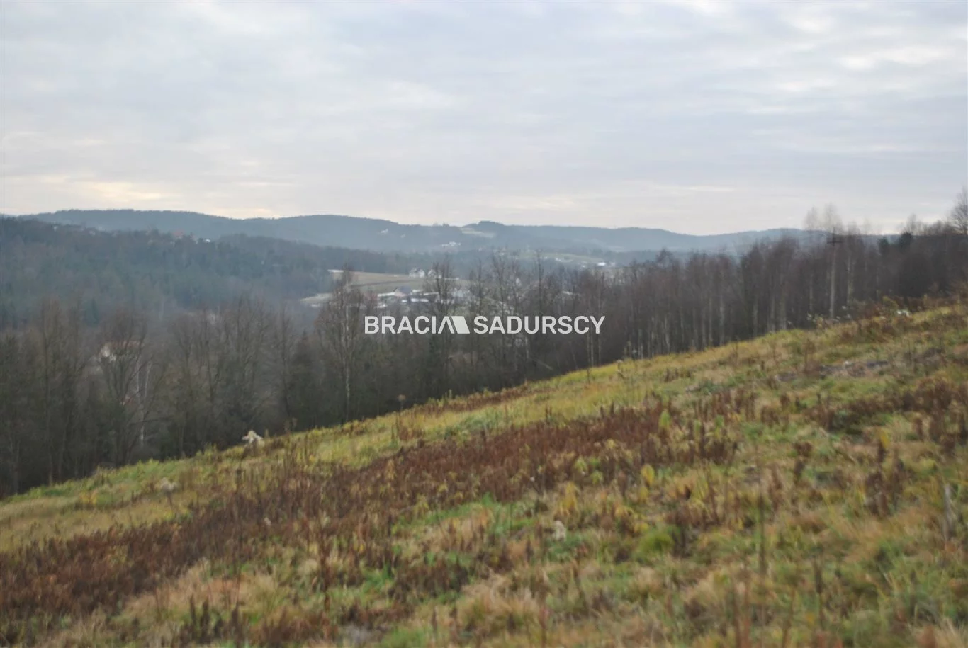 BS1-GS-287058-254 - zdjęcie nr 0