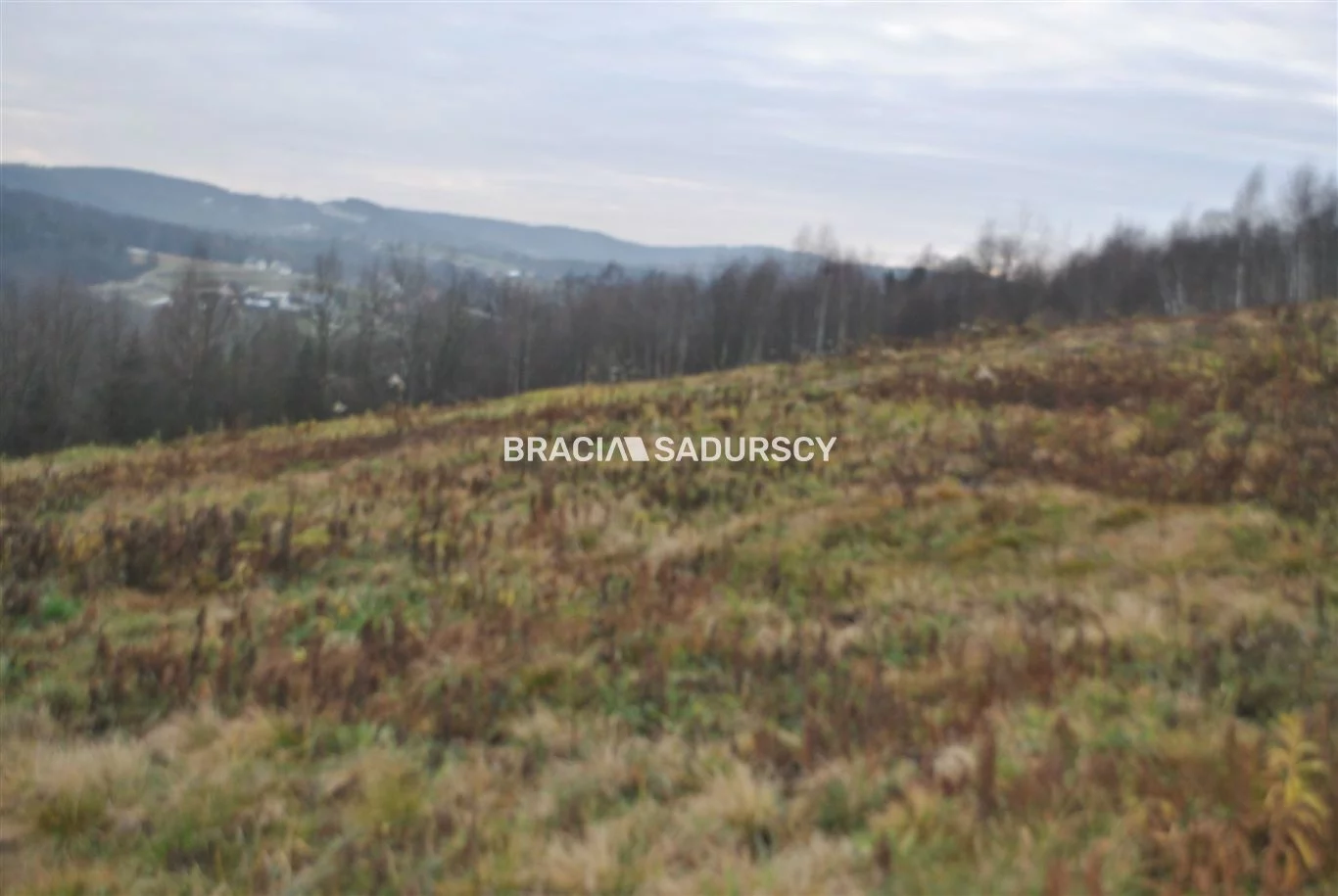 BS1-GS-309589-264 - zdjęcie nr 2