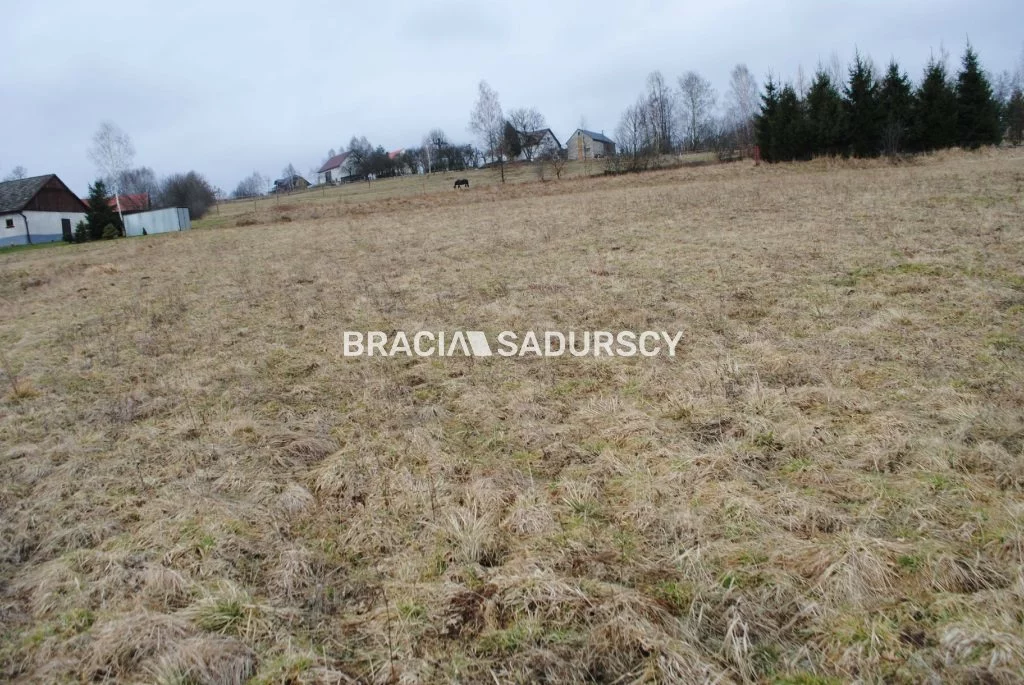 BS1-GS-309601-387 - zdjęcie nr 2