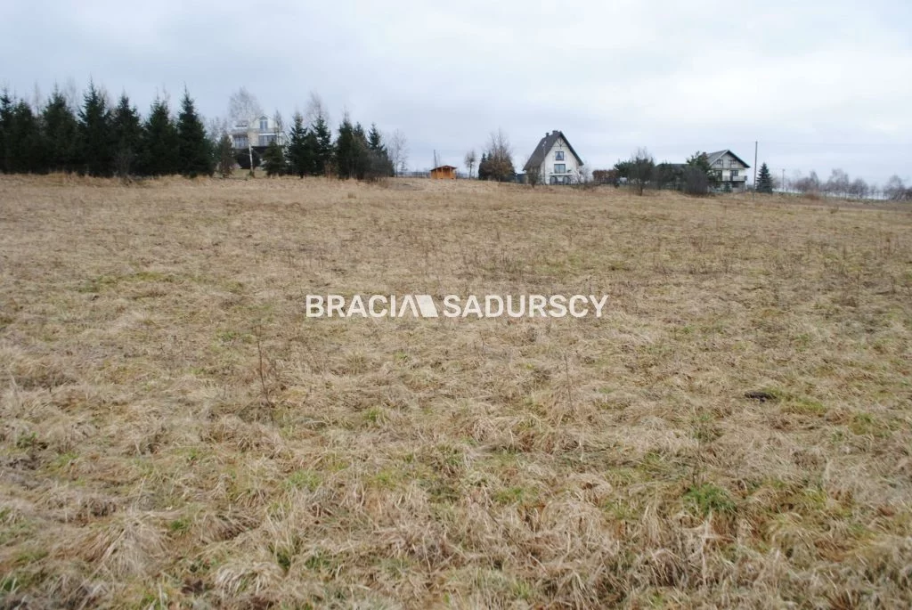 BS1-GS-309601-387 - zdjęcie nr 4