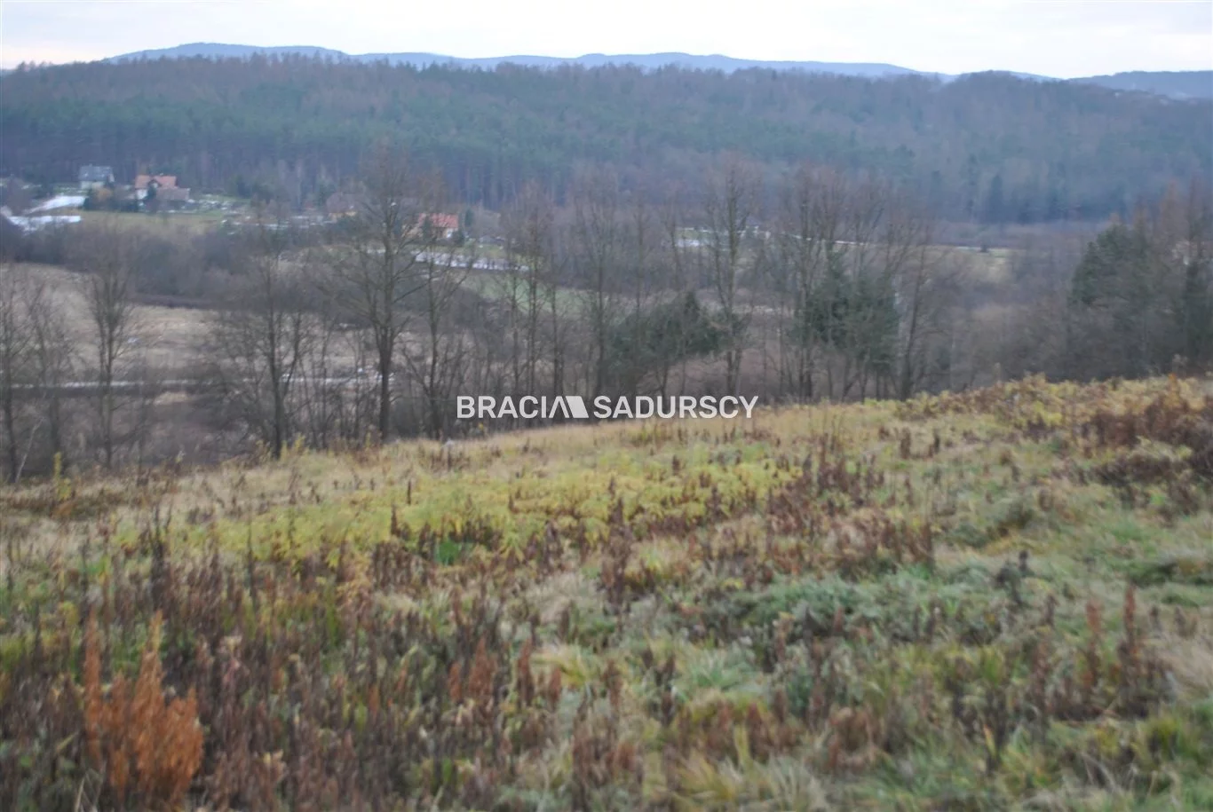BS1-GS-309589-266 - zdjęcie nr 4