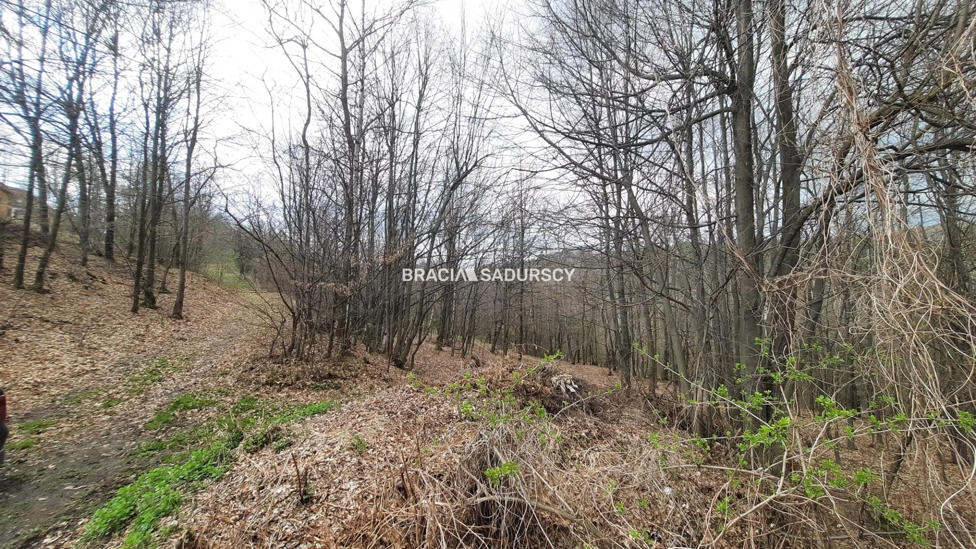 Działka 2 300,00 m², oferta nr , BS5-GS-298652-172, Myślenice