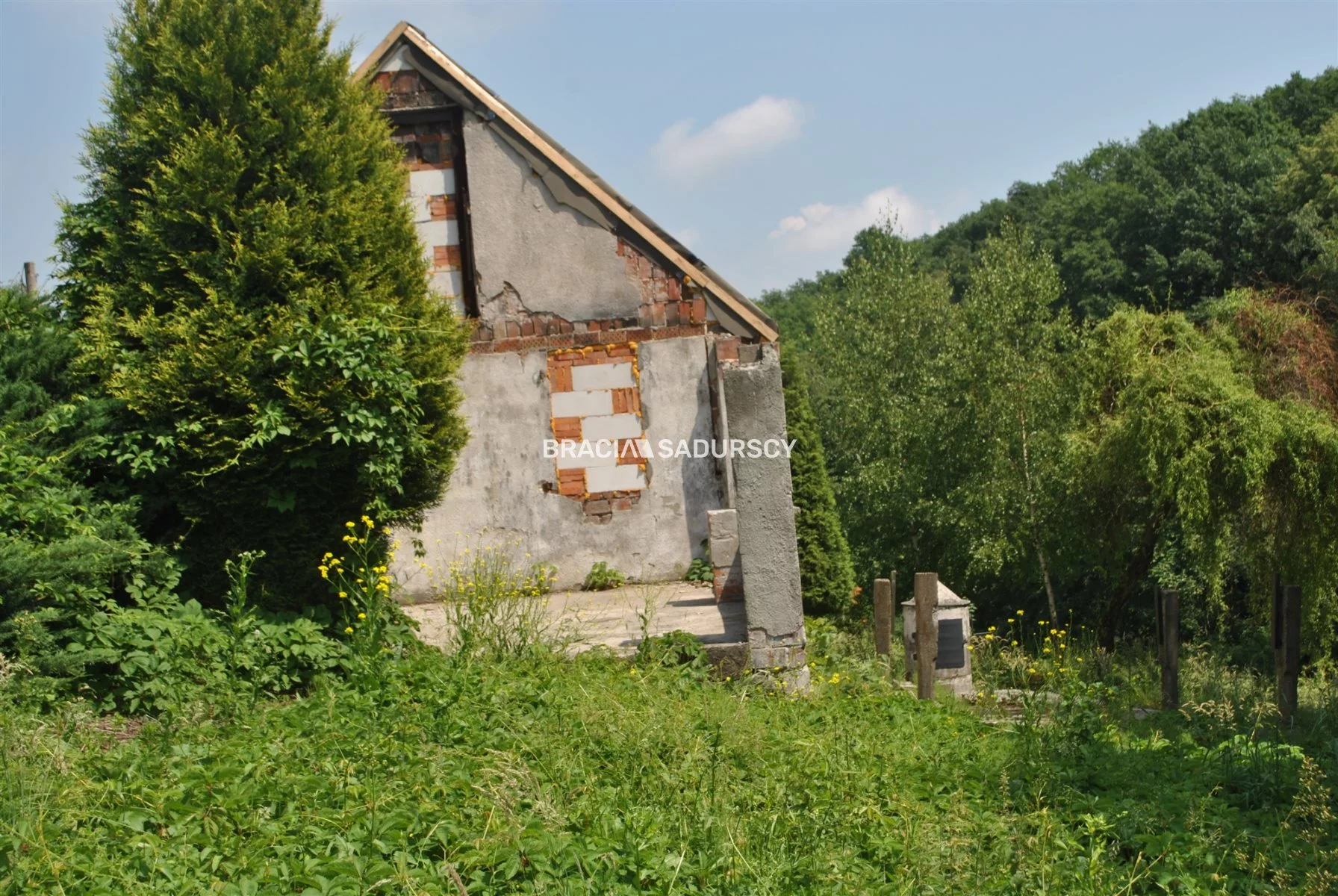 BS1-GS-311318-201 - zdjęcie nr 1