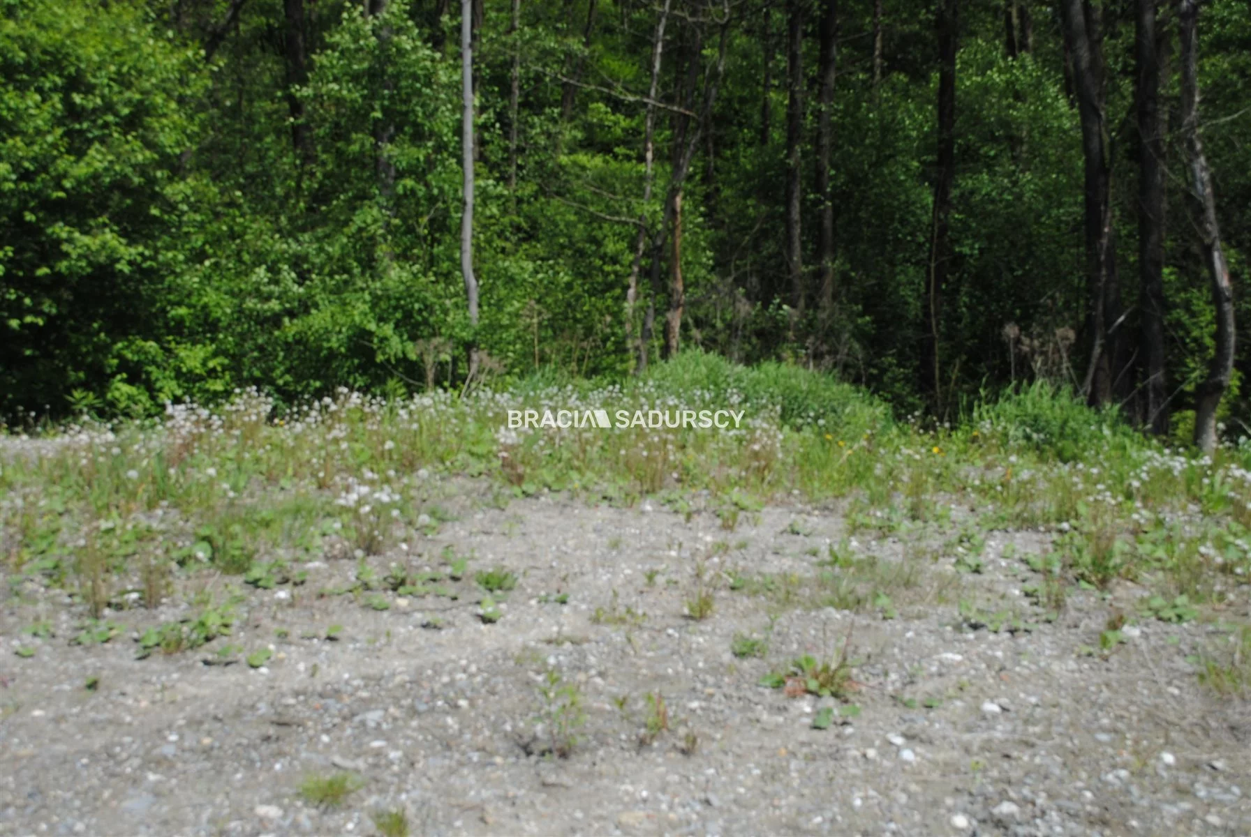 BS1-GS-309607-202 - zdjęcie nr 3