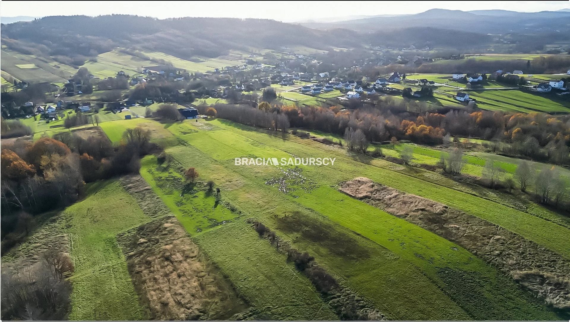 Działka 5 900,00 m², oferta nr , BS5-GS-301668-59, Skawina, Podskale