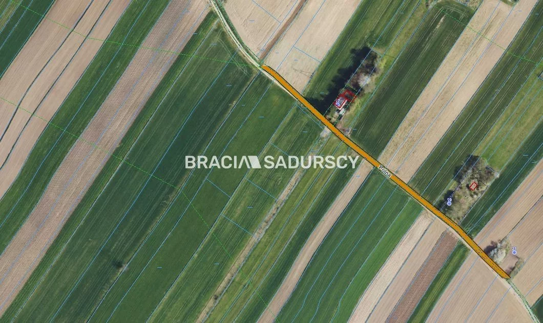 BS5-GS-309565-24 - zdjęcie nr 4