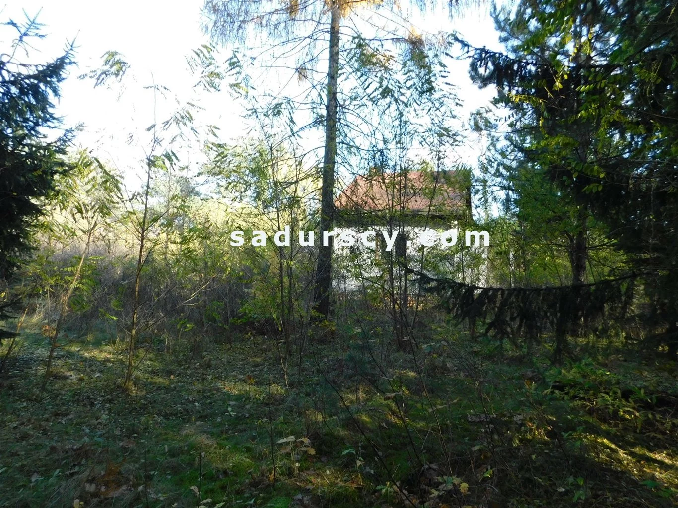 BS8-GS-263796-108 - zdjęcie nr 2