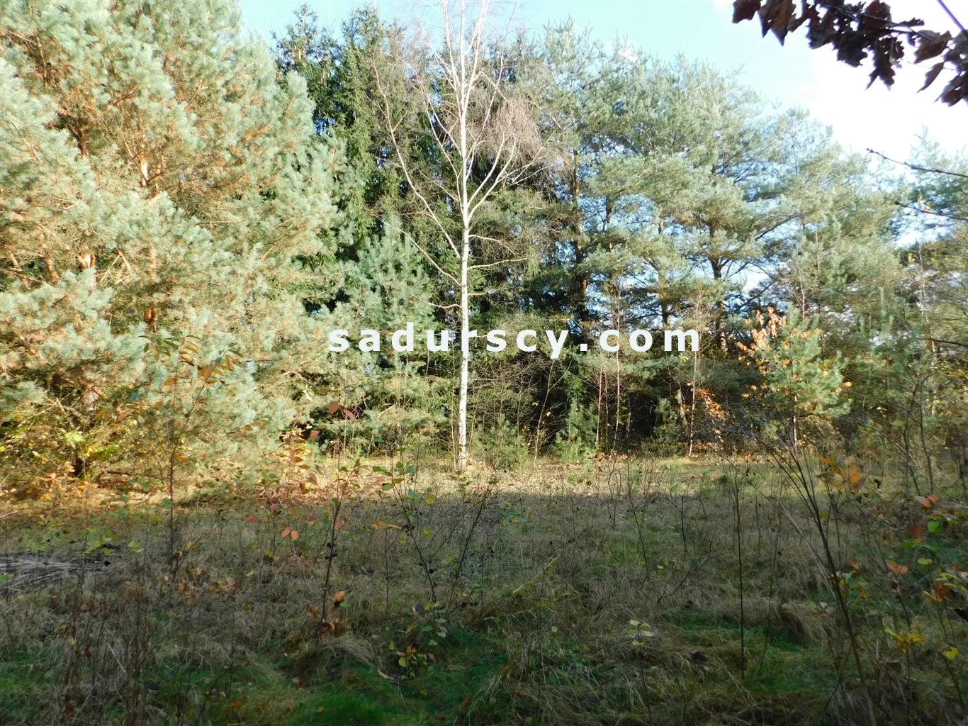BS8-GS-263796-108 - zdjęcie nr 4