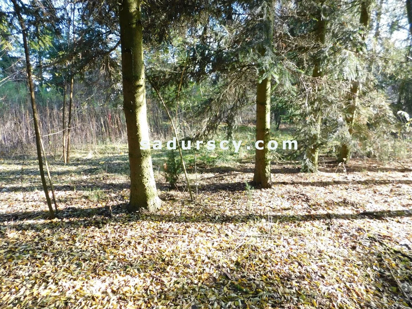 Działka 4 100,00 m², oferta nr , BS8-GS-263796-108, Prażmów
