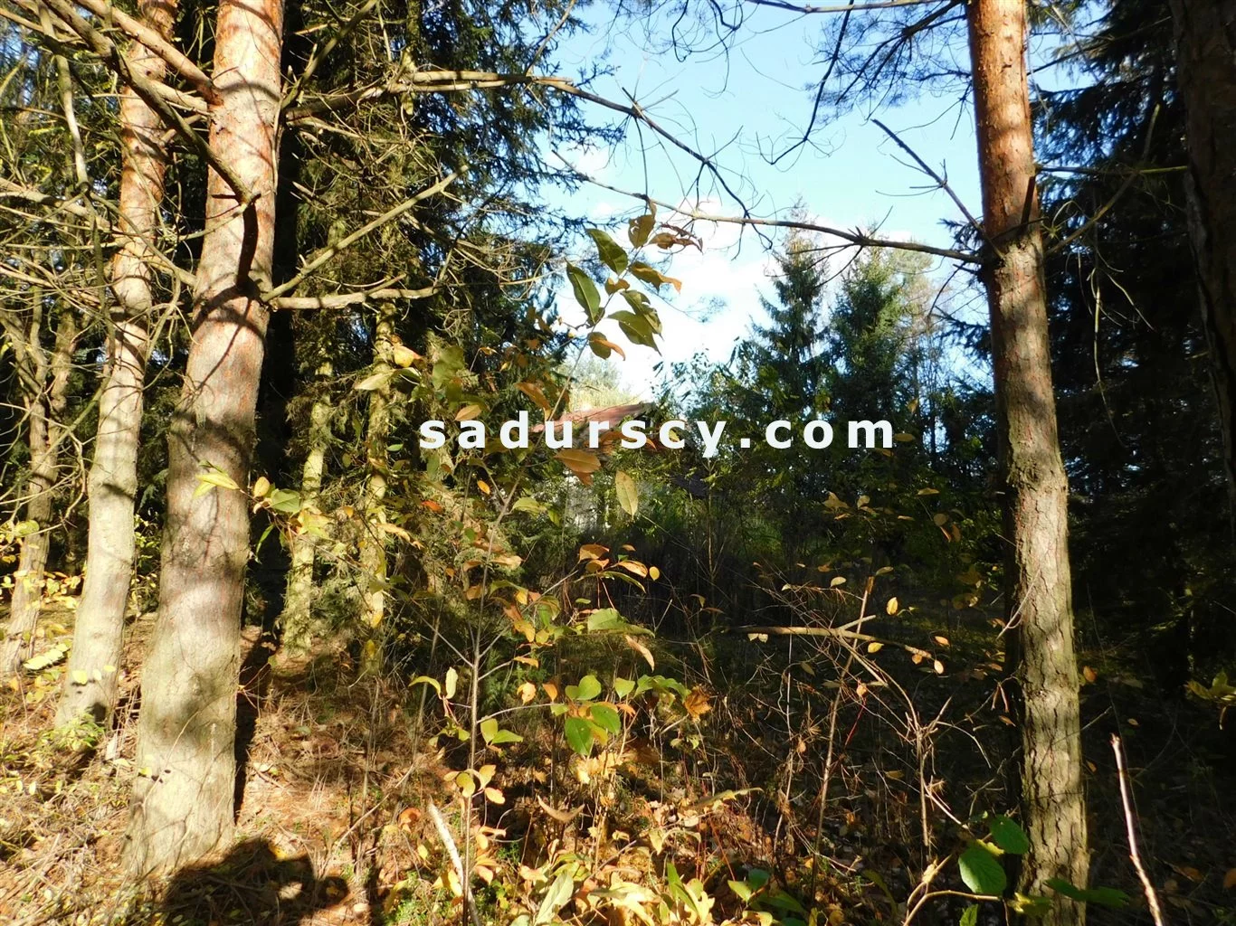 Działka 4 100,00 m², oferta nr , BS8-GS-263796-108, Prażmów