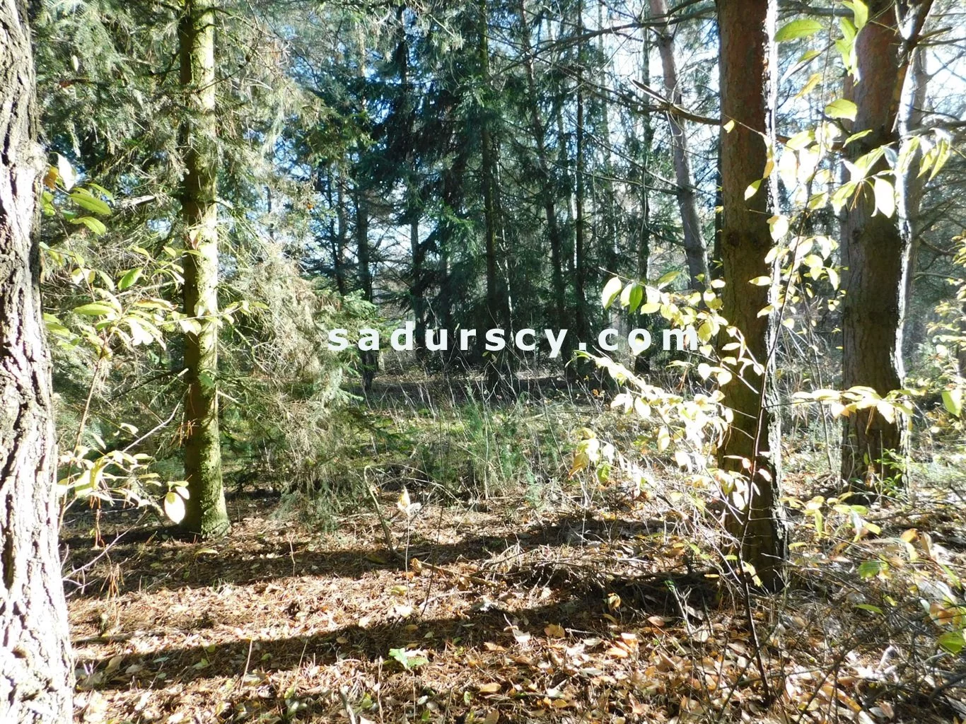 Działka 4 100,00 m², oferta nr , BS8-GS-263796-108, Prażmów