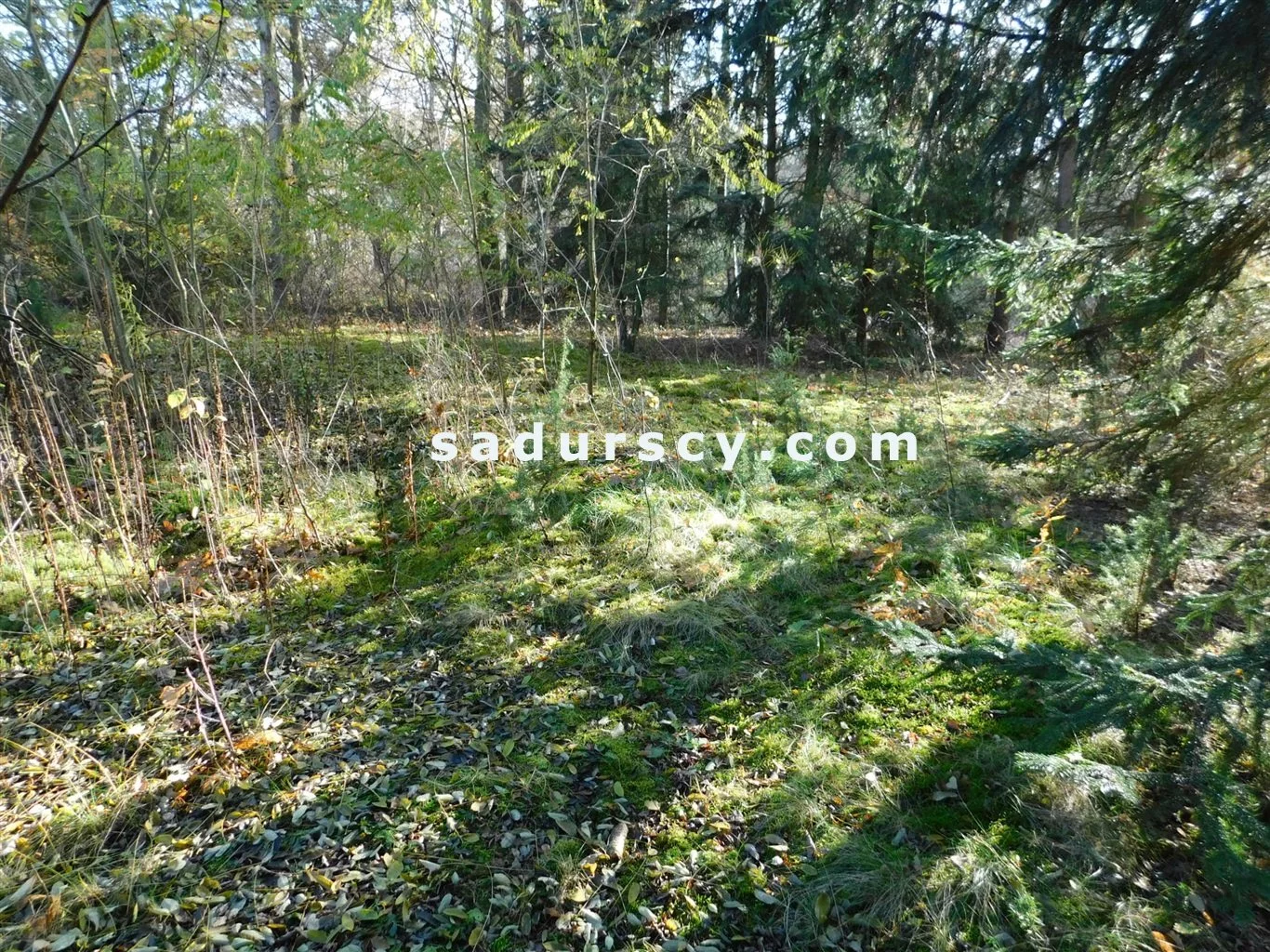 Działka 4 100,00 m², oferta nr , BS8-GS-263796-108, Prażmów