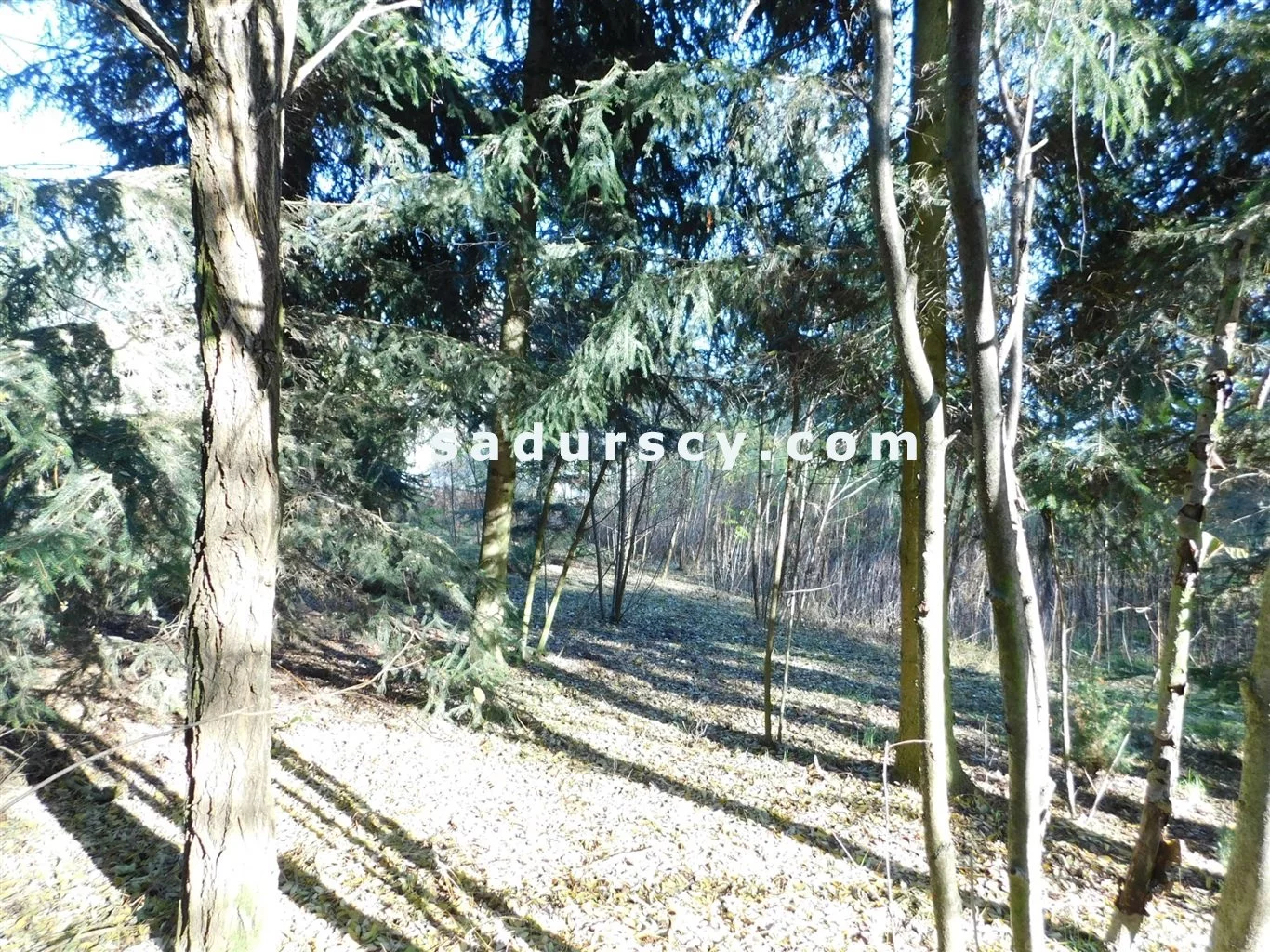 Działka 4 100,00 m², oferta nr , BS8-GS-263796-108, Prażmów