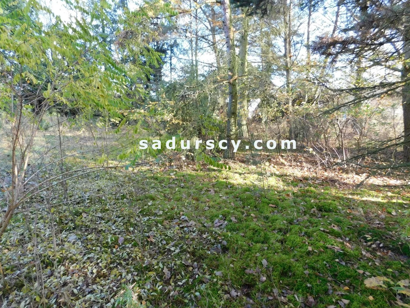 Działka 4 100,00 m², oferta nr , BS8-GS-263796-108, Prażmów