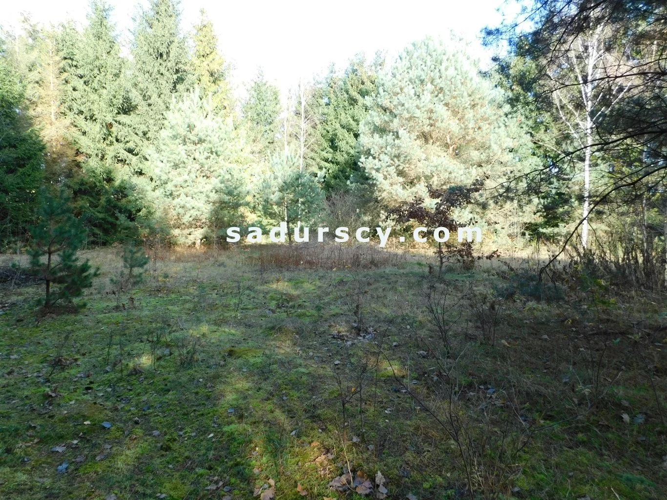 Działka 4 100,00 m², oferta nr , BS8-GS-263796-108, Prażmów