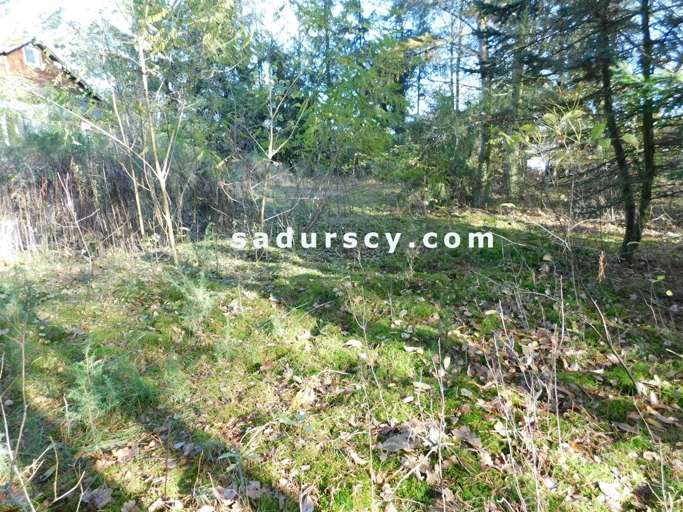 Działka 4 100,00 m², oferta nr , BS8-GS-263796-108, Prażmów