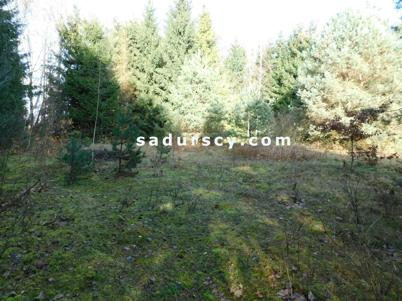 Działka 4 100,00 m², oferta nr , BS8-GS-263796-108, Prażmów