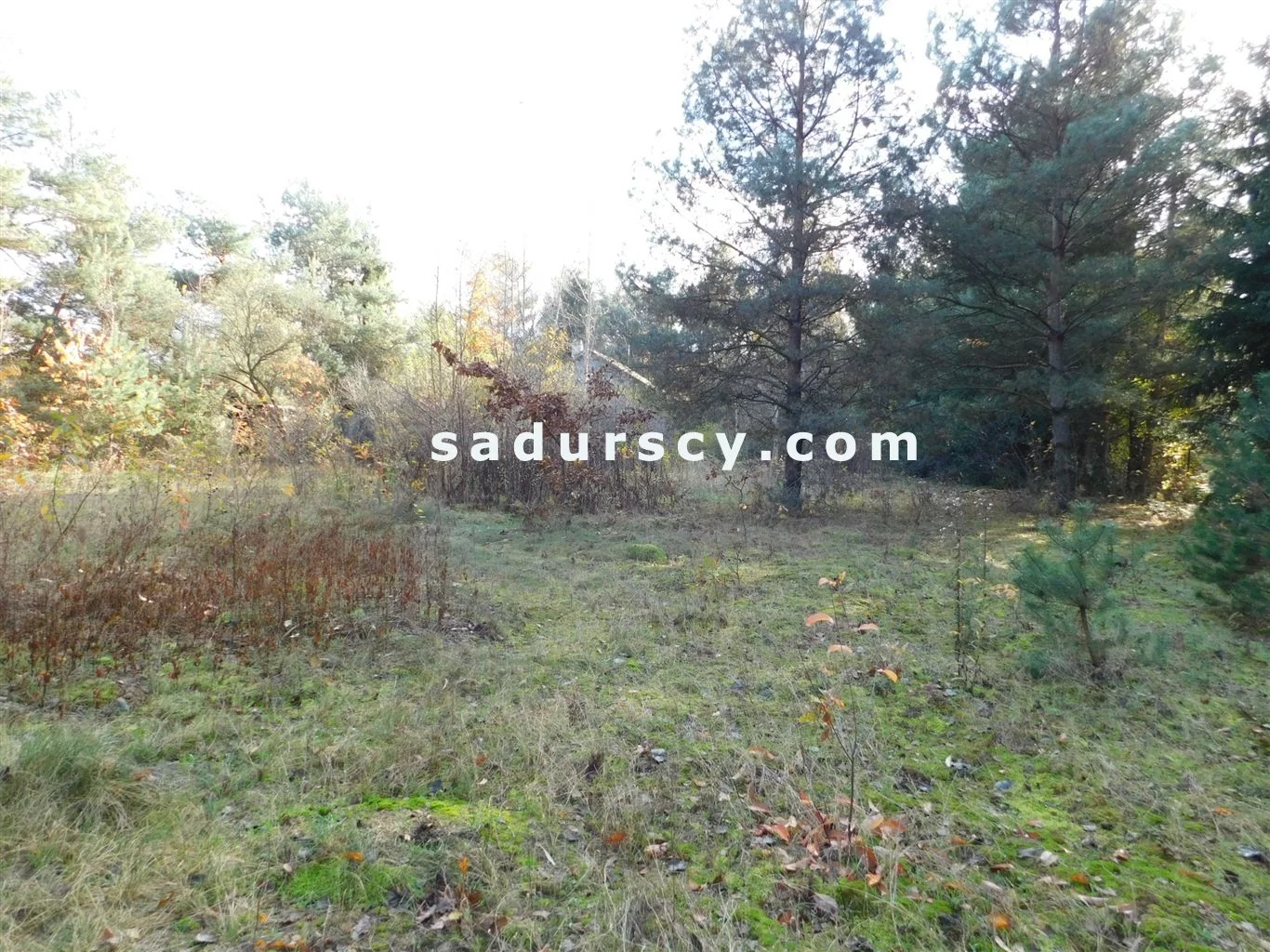 Działka 4 100,00 m², oferta nr , BS8-GS-263796-108, Prażmów