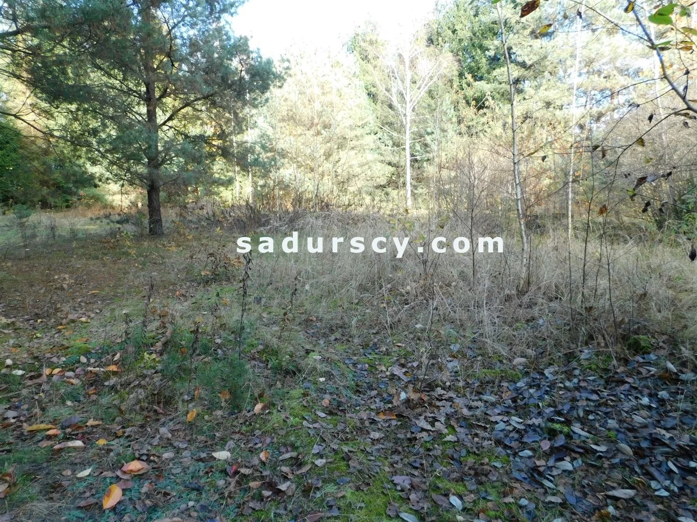 Działka 4 100,00 m², oferta nr , BS8-GS-263796-108, Prażmów