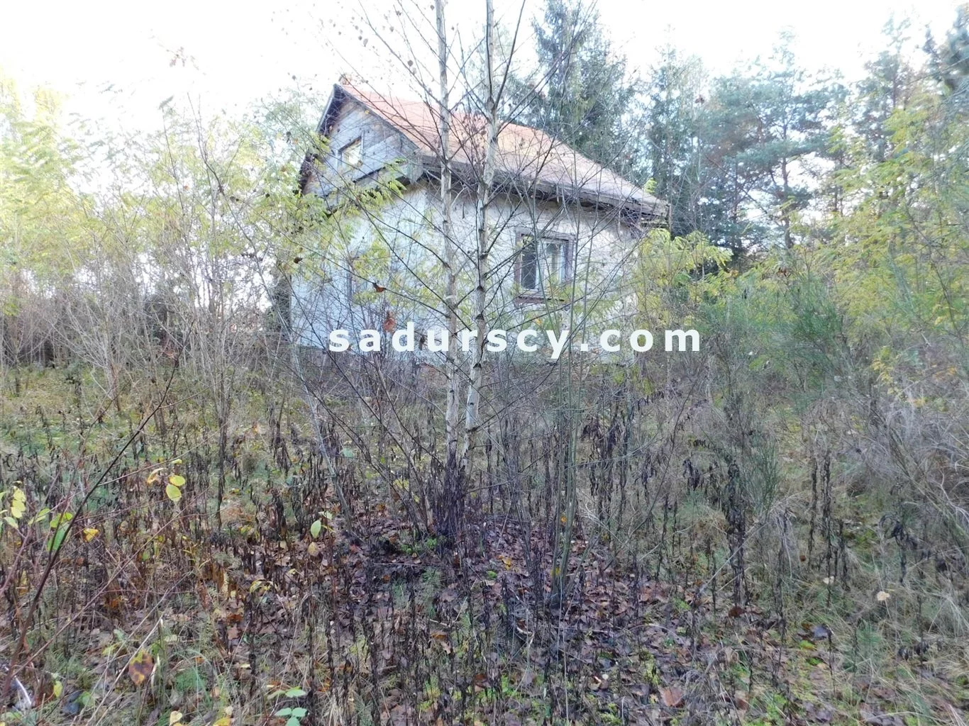Działka 4 100,00 m², oferta nr , BS8-GS-263796-108, Prażmów