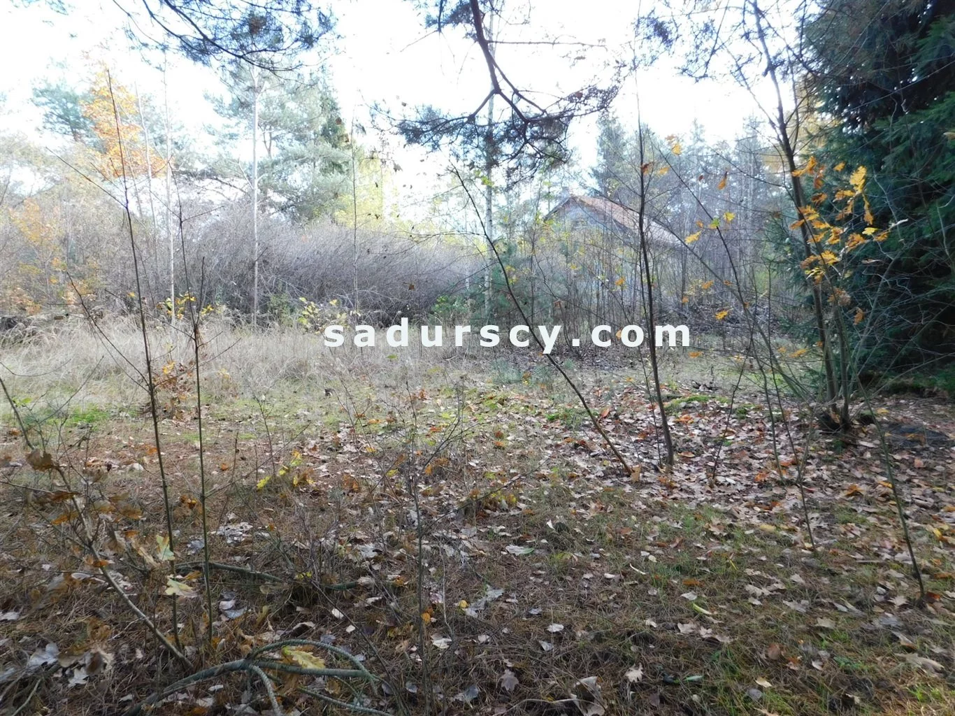 Działka 4 100,00 m², oferta nr , BS8-GS-263796-108, Prażmów