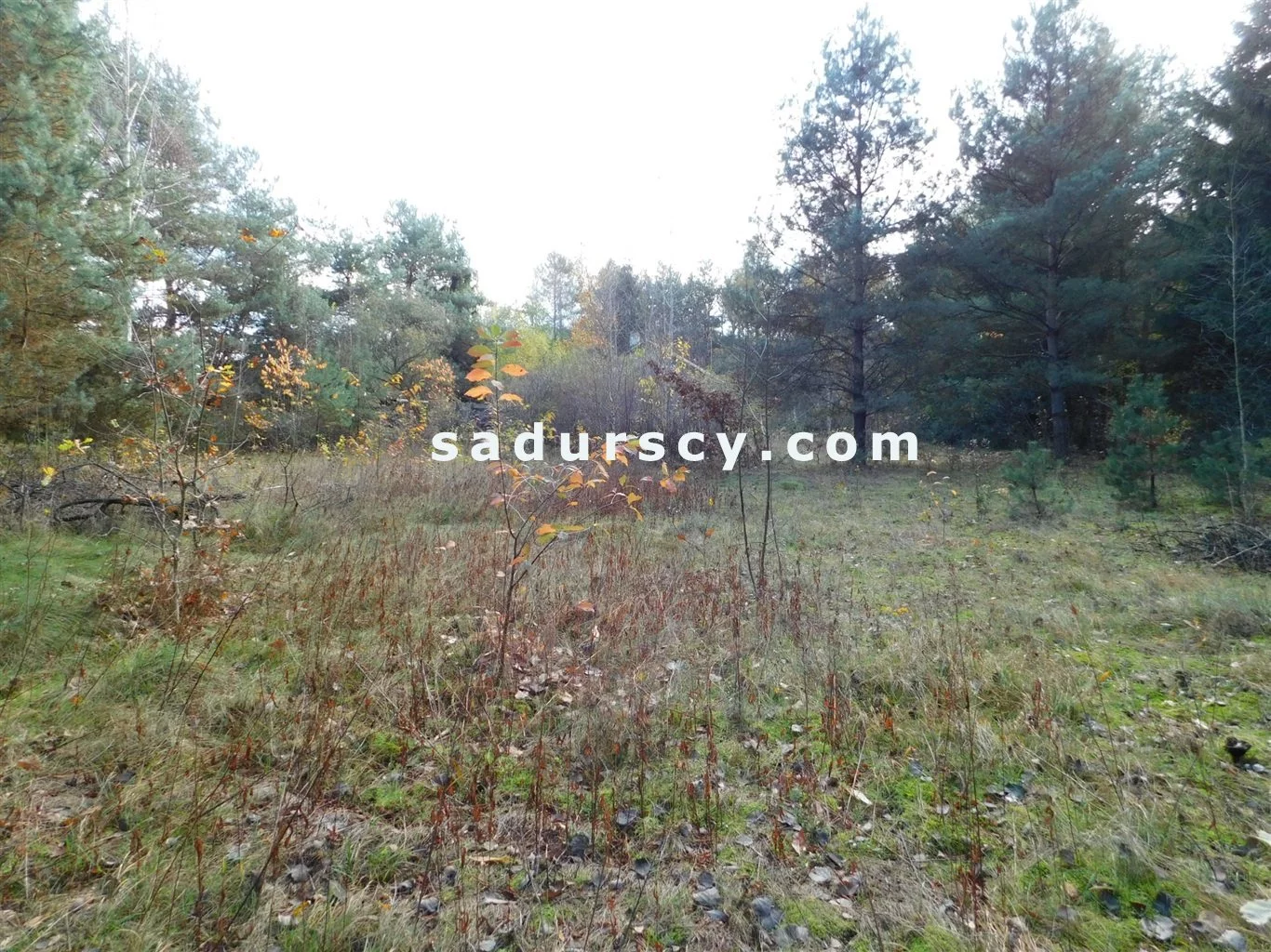 Działka 4 100,00 m², oferta nr , BS8-GS-263796-108, Prażmów