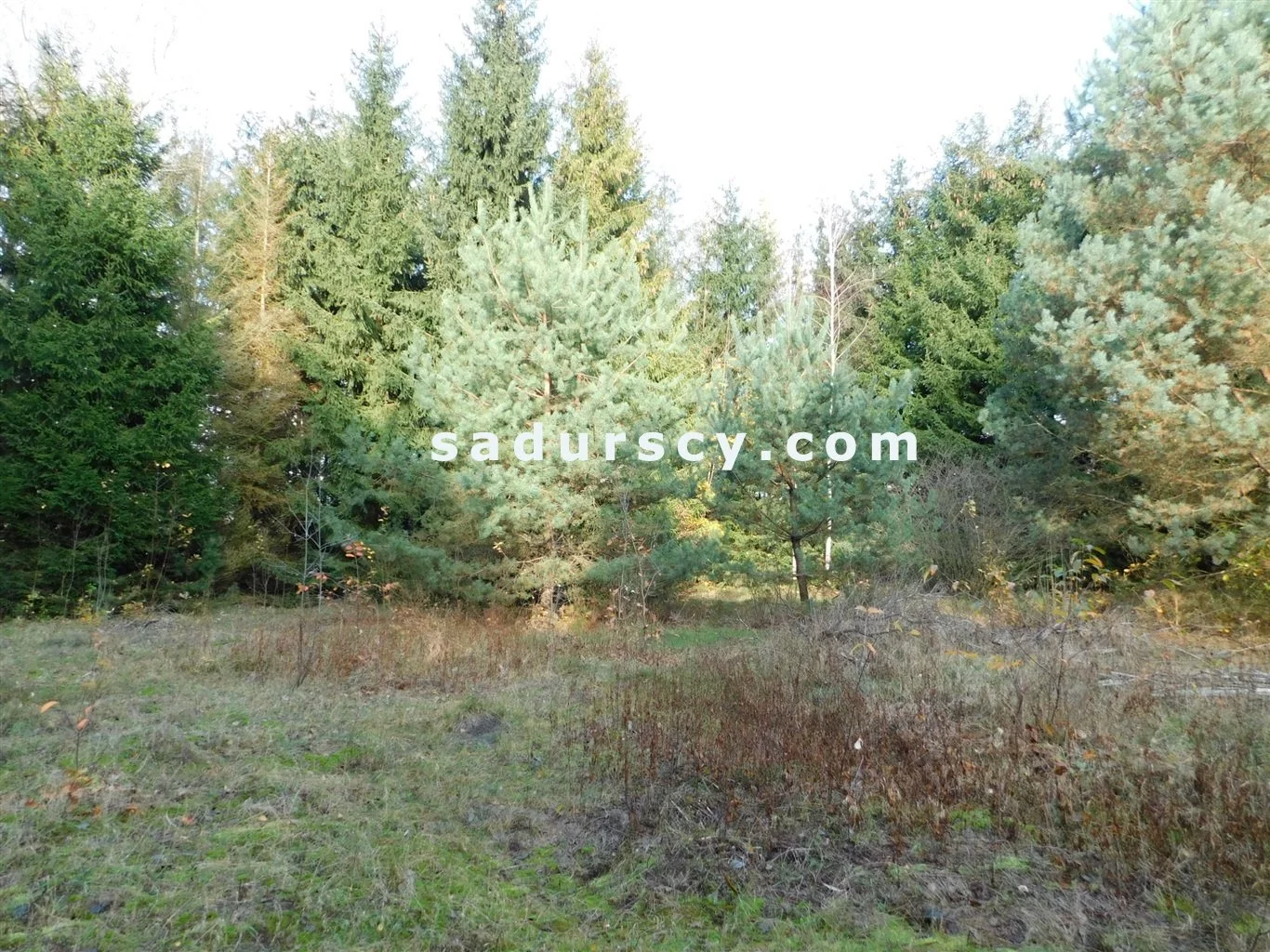 Działka 4 100,00 m², oferta nr , BS8-GS-263796-108, Prażmów