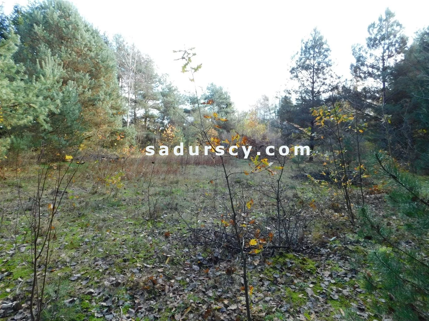 Działka 4 100,00 m², oferta nr , BS8-GS-263796-108, Prażmów