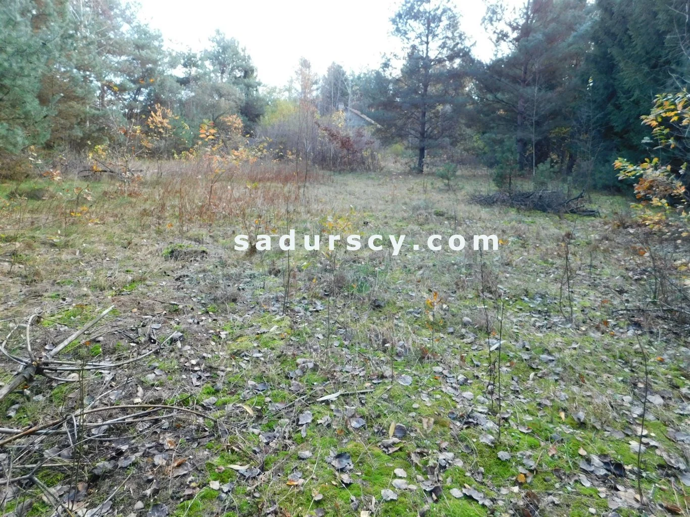 Działka 4 100,00 m², oferta nr , BS8-GS-263796-108, Prażmów